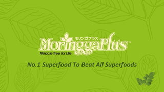 MoringgaPlus.com
Miracle Tree for Life
No.1 Superfood To Beat All Superfoods
 