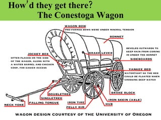 How’d they get there?  The Conestoga Wagon 