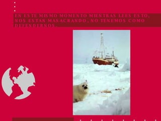 EN ESTE MISMO MOMENTO MIENTRAS LEES ESTO, NOS ESTAN MASACRANDO   , NO TENEMOS COMO DEFENDERNOS. 