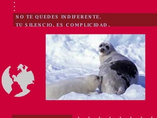 NO TE QUEDES INDIFERENTE. TU SILENCIO, ES COMPLICIDAD   . 