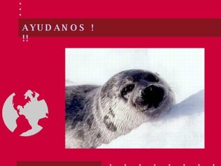 AYUDANOS !!!   