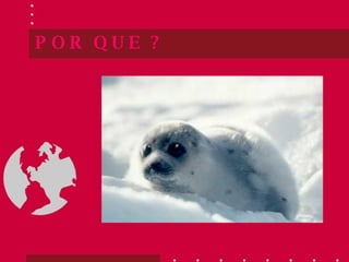 POR QUE ? 