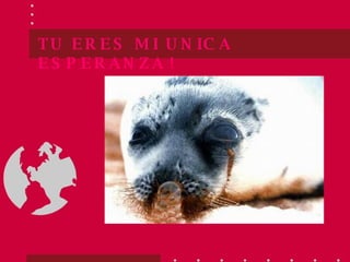 TU ERES MI UNICA ESPERANZA   ! 