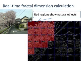 Real-time fractal dimension calculation
11
Red regions show natural objects
 