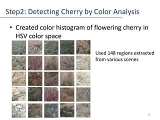 Step2: Detecting Cherry by Color Analysis
12
Used 148 regions extracted
from various scenes
• Created color histogram of f...