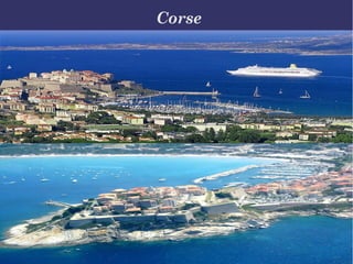 Corse 
 