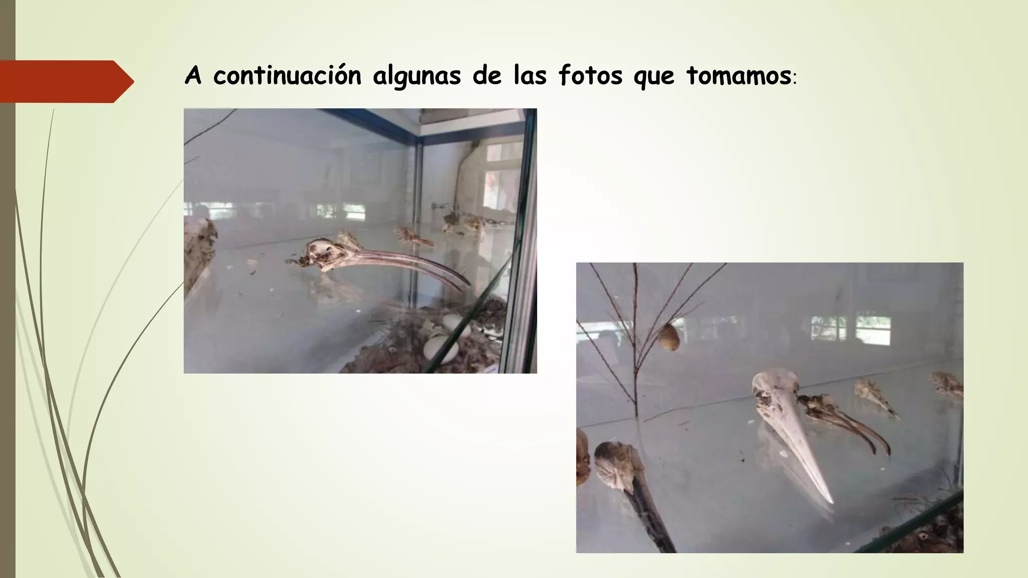 A continuación algunas de las fotos que tomamos:
 