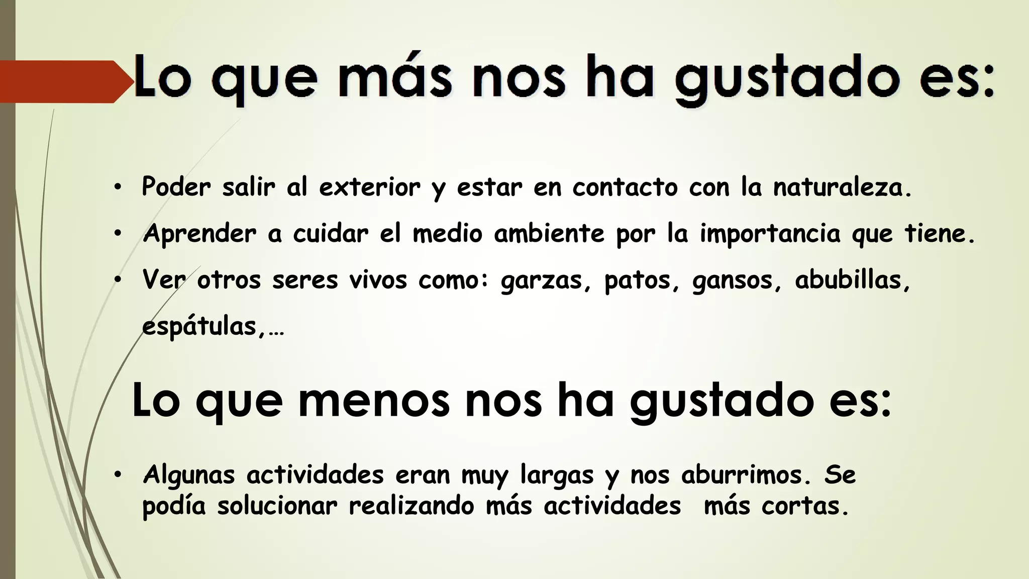 • Poder salir al exterior y estar en contacto con la naturaleza.
• Aprender a cuidar el medio ambiente por la importancia que tiene.
• Ver otros seres vivos como: garzas, patos, gansos, abubillas,
espátulas,…
Lo que menos nos ha gustado es:
• Algunas actividades eran muy largas y nos aburrimos. Se
podía solucionar realizando más actividades más cortas.
 