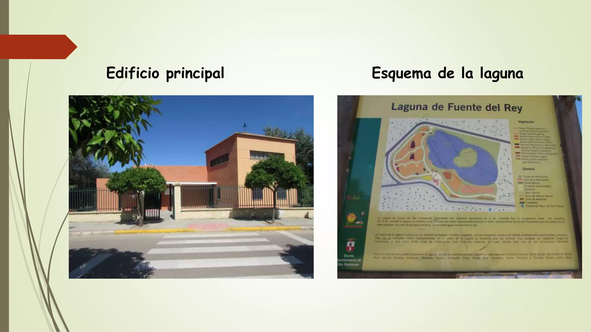 Edificio principal Esquema de la laguna
 