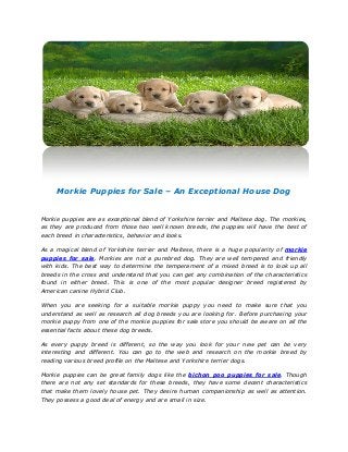 Morkie Puppies for Sale – An Exceptional House Dog
Morkie puppies are as exceptional blend of Yorkshire terrier and Maltese dog. The morkies,
as they are produced from those two well known breeds, the puppies will have the best of
each breed in characteristics, behavior and looks.
As a magical blend of Yorkshire terrier and Maltese, there is a huge popularity of morkie
puppies for sale. Morkies are not a purebred dog. They are well tempered and friendly
with kids. The best way to determine the temperament of a mixed breed is to look up all
breeds in the cross and understand that you can get any combination of the characteristics
found in either breed. This is one of the most popular designer breed registered by
American canine Hybrid Club.
When you are seeking for a suitable morkie puppy you need to make sure that you
understand as well as research all dog breeds you are looking for. Before purchasing your
morkie puppy from one of the morkie puppies for sale store you should be aware on all the
essential facts about these dog breeds.
As every puppy breed is different, so the way you look for your new pet can be very
interesting and different. You can go to the web and research on the morkie breed by
reading various breed profile on the Maltese and Yorkshire terrier dogs.
Morkie puppies can be great family dogs like the bichon poo puppies for sale. Though
there are not any set standards for these breeds, they have some decent characteristics
that make them lovely house pet. They desire human companionship as well as attention.
They possess a good deal of energy and are small in size.
 