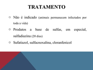 TRATAMENTOTRATAMENTO
o Não é indicado (animais permanecem infectados por
toda a vida)
o Produtos a base de sulfas, em especial,
sulfadiazina (20 dias)
o Sufatiazol, sulfacnoxalina, cloranfenicol
 