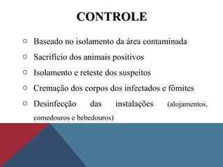 CONTROLECONTROLE
o Baseado no isolamento da área contaminada
o Sacrifício dos animais positivos
o Isolamento e reteste dos suspeitos
o Cremação dos corpos dos infectados e fômites
o Desinfecção das instalações (alojamentos,
comedouros e bebedouros)
 