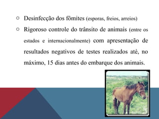 o Desinfecção dos fômites (esporas, freios, arreios)
o Rigoroso controle do trânsito de animais (entre os
estados e internacionalmente) com apresentação de
resultados negativos de testes realizados até, no
máximo, 15 dias antes do embarque dos animais.
 