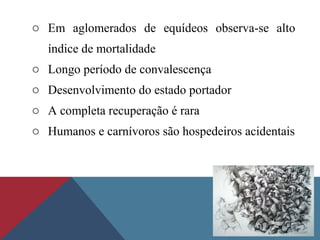 o Em aglomerados de equídeos observa-se alto
índice de mortalidade
o Longo período de convalescença
o Desenvolvimento do estado portador
o A completa recuperação é rara
o Humanos e carnívoros são hospedeiros acidentais
 