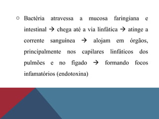 o Bactéria atravessa a mucosa faringiana e
intestinal  chega até a via linfática  atinge a
corrente sanguínea  alojam em órgãos,
principalmente nos capilares linfáticos dos
pulmões e no fígado  formando focos
infamatórios (endotoxina)
 