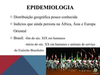 EPIDEMIOLOGIAEPIDEMIOLOGIA
o Distribuição geográfica pouco conhecida
o Indícios que ainda persista na África, Ásia e Europa
Oriental
o Brasil: -fim do séc. XIX em humanos
-início do séc. XX em humanos e animais de serviço
do Exército Brasileiro
 