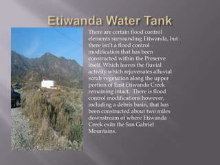 Etiwanda Water TankThere are certain flood control elements surrounding Etiwanda, but there isn’t a flood control modification that has been constructed within the Preserve itself. Which leaves the fluvial activity which rejuvenates alluvial scrub vegetation along the upper portion of East Etiwanda Creek remaining intact.  There is flood control modifications however, including a debris basin, that has been constructed about two miles downstream of where Etiwanda Creek exits the San Gabriel Mountains. 