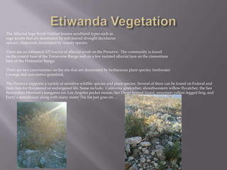 Etiwanda VegetationThe Alluvial Sage Scrub Habitat houses scrubland types such as sage scrubs that are dominated by soft-leaved drought deciduousspecies, chaparrals dominated by woody species.  There are an estimated 427.6 acres of alluvial scrub on the Preserve.  The community is found on the coastal base of the Transverse Range and on a few isolated alluvial fans on the cismontanebase of the Peninsular Range. There are two communities on the site that are dominated by herbaceous plant species: freshwater Cienega and non-native grassland. The Preserve supports a variety of sensitive wildlife species and plant species. Several of them can be found on Federal and State lists for threatened or endangered life. Some include;  California gnatcather, shouthwestern willow flycatcher, the SanBernardino Merriam’s kangaroo rat, Los Angeles pocket mouse, San Diego homed lizard, mountain yellow-legged frog, and Parry’s spinefloweralong with many more! The list just goes on….
