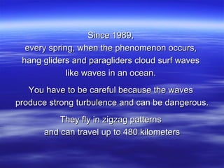 Since 1989,  every spring, when the phenomenon occurs,  hang gliders and paragliders cloud surf waves  like waves in an ocean.  You have to be careful because the waves  produce strong turbulence and can be dangerous. They fly in zigzag patterns  and can travel up to 480 kilometers 