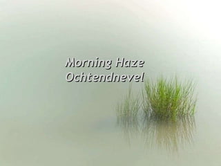 Morning Haze Ochtendnevel 