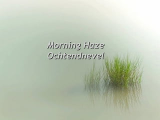 Morning HazeMorning Haze
OchtendnevelOchtendnevel
 