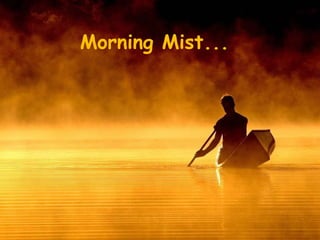 Morning Mist... 