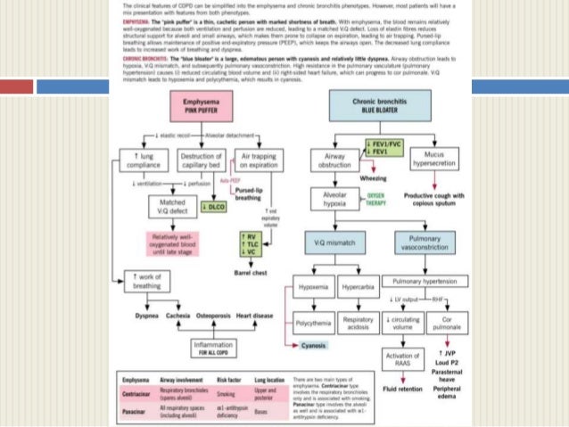 COPD and Key Indicators For Considering Diagnosis