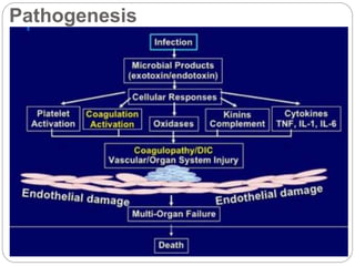 Pathogenesis
 