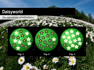Daisyworld
The importance of redundancy
 