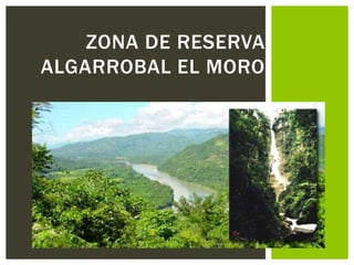 ZONA DE RESERVA
ALGARROBAL EL MORO
 