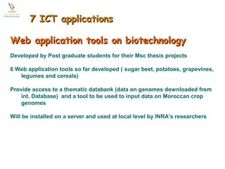 77 IICCTT aapppplliiccaattiioonnss 
t Web application toooollss oonn bbiiootteecchhnnoollooggyy 
Developed by Post graduate students for their Msc thesis projects 
6 Web application tools so far developed ( sugar beet, potatoes, grapevines, 
legumes and cereals) 
Provide access to a thematic databank (data on genomes downloaded from 
int. Database) and a tool to be used to input data on Moroccan crop 
genomes 
Will be installed on a server and used at local level by INRA’s researchers 
 