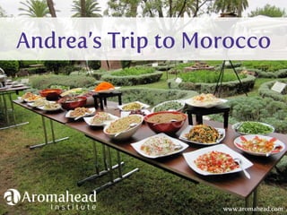 Andrea’s Trip to Morocco
www.aromahead.com
 