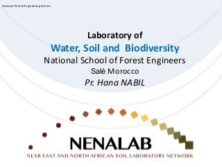 Laboratory of
Water, Soil and Biodiversity
National School of Forest Engineers
Salé , Morocco
Pr. Hana NABIL
National Forest Engineering School
 