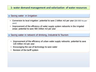 Moroccan Water Strategy