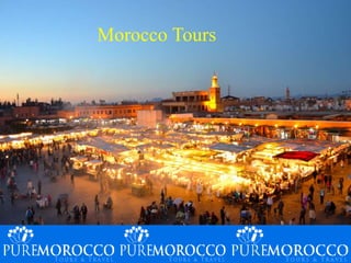 Morocco Tours
 