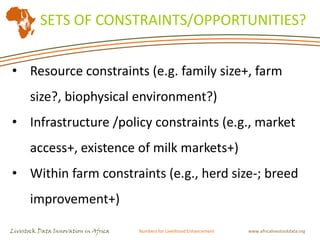 Livestock indicators for targeted investments: Translating constraints into opportunities in Tanzania