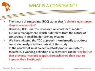 Livestock indicators for targeted investments: Translating constraints into opportunities in Tanzania
