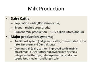 Efforts to improve the dairy industry in Tanzania