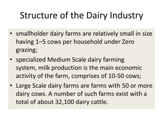 Efforts to improve the dairy industry in Tanzania