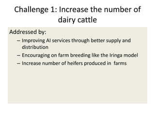 Efforts to improve the dairy industry in Tanzania