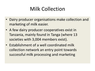 Efforts to improve the dairy industry in Tanzania