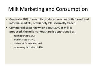 Efforts to improve the dairy industry in Tanzania