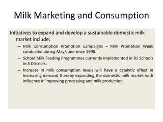 Efforts to improve the dairy industry in Tanzania