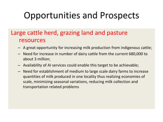 Efforts to improve the dairy industry in Tanzania