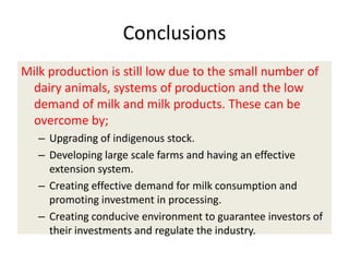 Efforts to improve the dairy industry in Tanzania