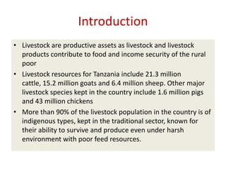 Efforts to improve the dairy industry in Tanzania