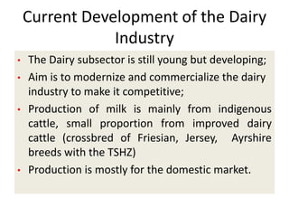 Efforts to improve the dairy industry in Tanzania