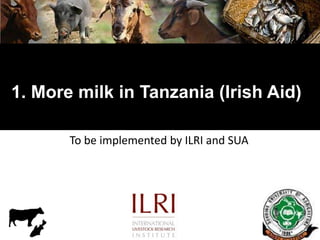Motivation behind renewed interest in Tanzania dairy