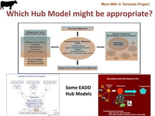 Motivation behind renewed interest in Tanzania dairy