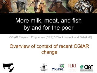 Motivation behind renewed interest in Tanzania dairy